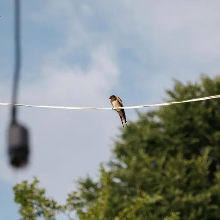 Bujtina Maria 4* Stegopull