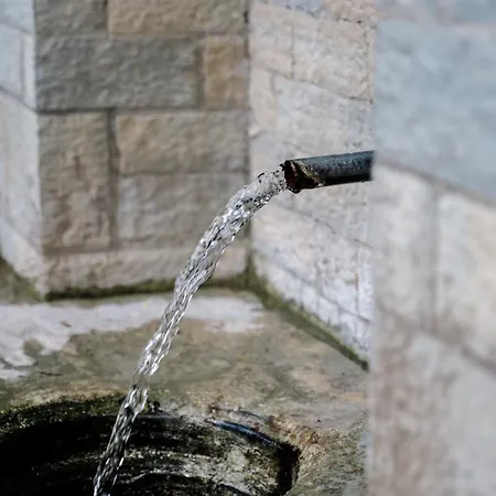 Bujtina Maria 4* Stegopull