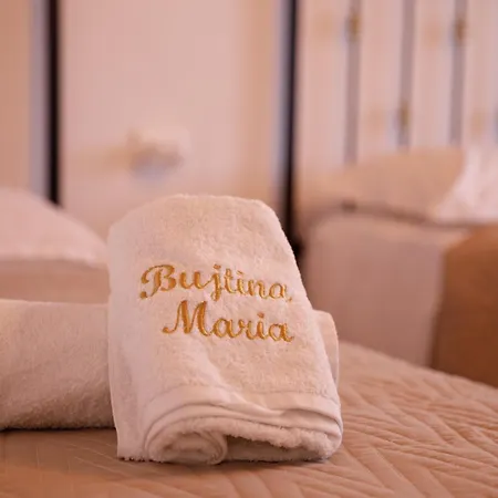 酒店 Bujtina Maria 4*