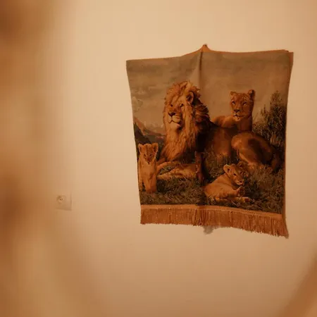 Bujtina Maria Ξενοδοχείο Stegopull