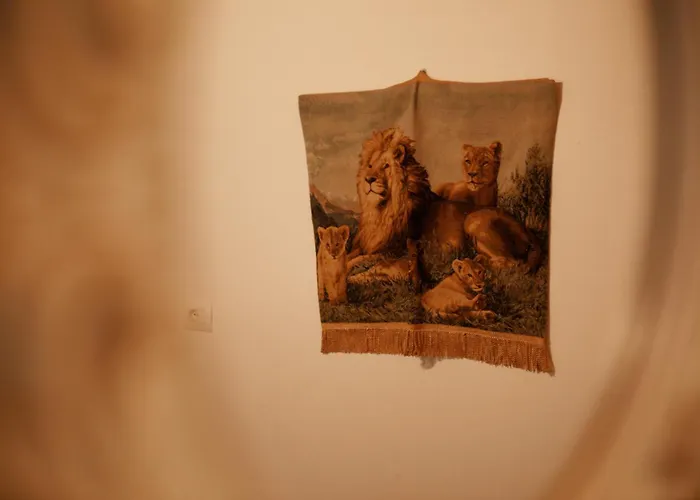 Bujtina Maria Hotel Stegopull