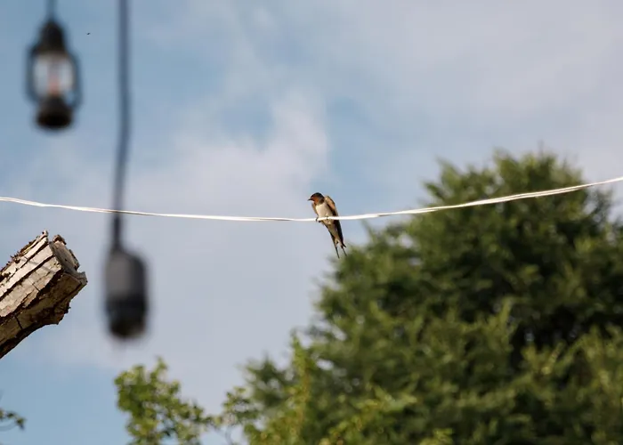 Bujtina Maria 4* Stegopull